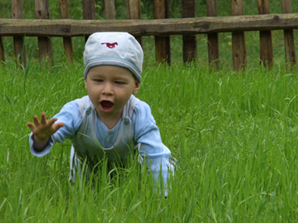 Впечатления