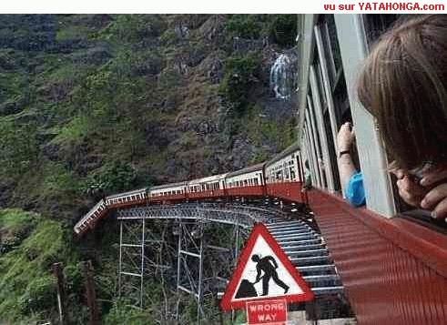 Всё по правилам