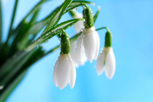 И нежно - нет...