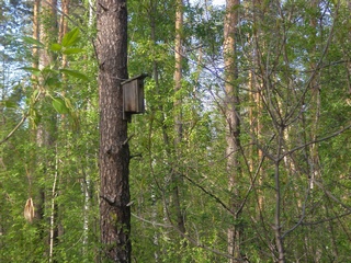 Эй Вы противники 6 чувства