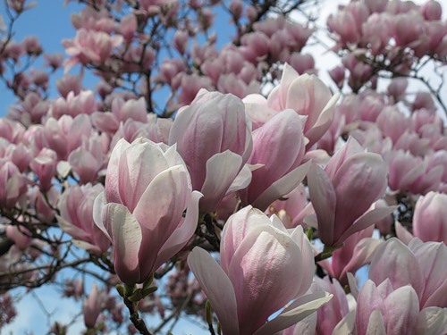 Завтра лето