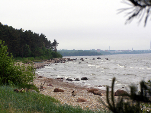 Вытряхивать