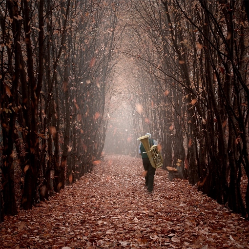 Неподвластна мечта мукам!