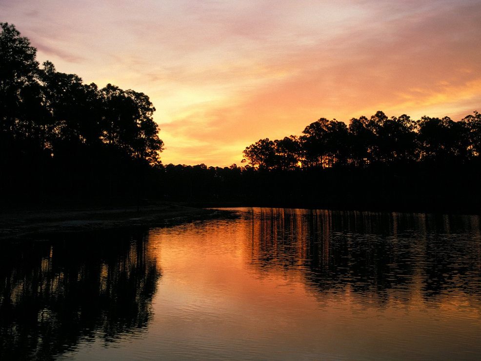 И меня, я верю, слышишь ты