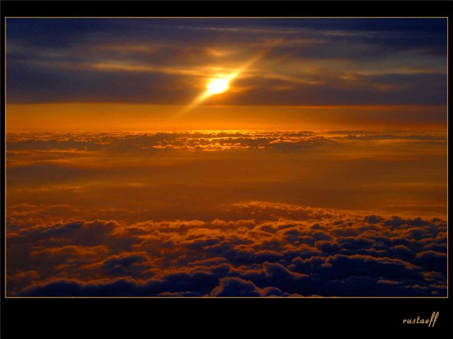 Цветок пурпурного рассвета