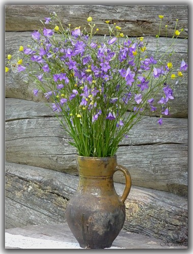 Малая Родина