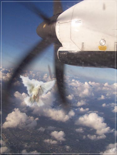 Чужой сон - Митрохину