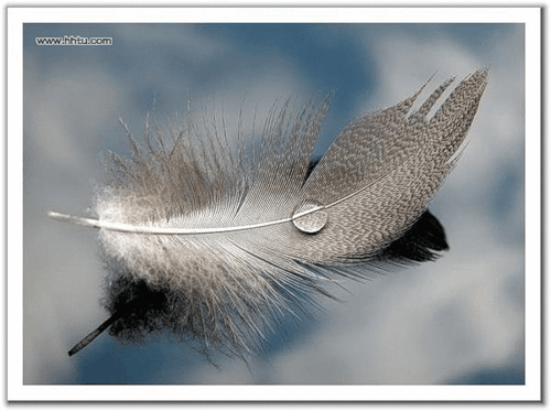 откликайся на шепот