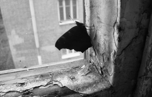 Посвящение А. Б