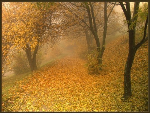 все проходит