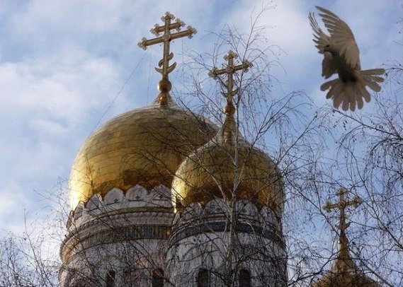 Среди жизненных стремлений!