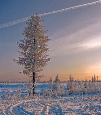 С днём рождения!