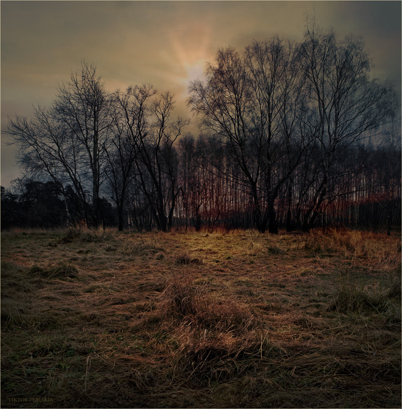 Отгорела осень