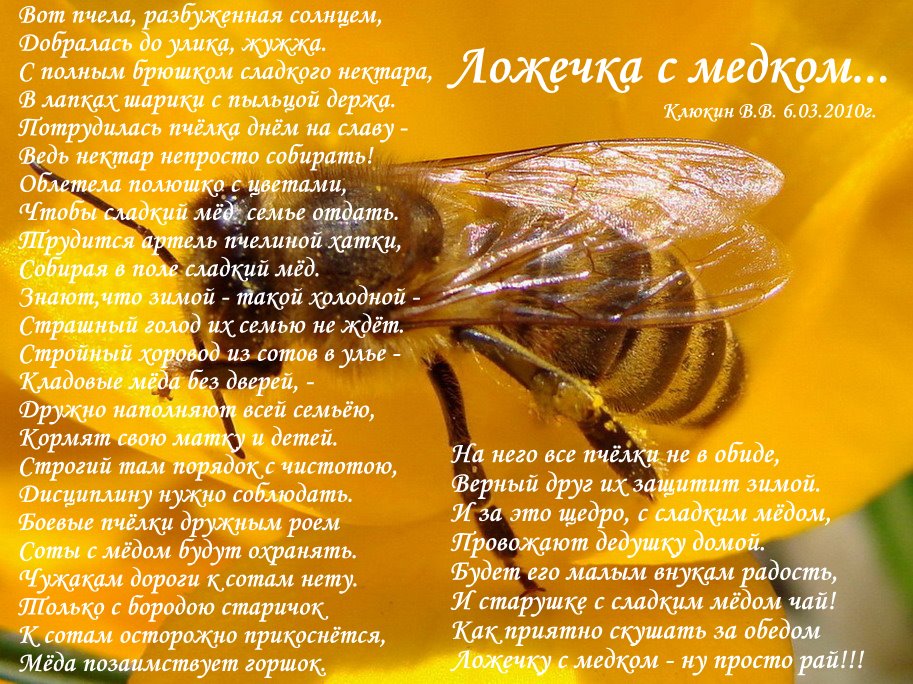 Ложечка с медком