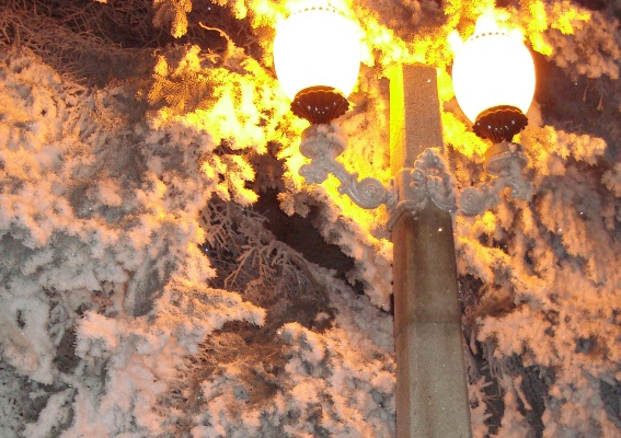 Зима в сердце