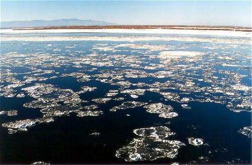 Какая тёплая зима...
