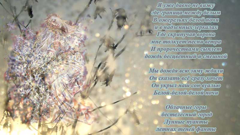 пуанты белого ночного дождя