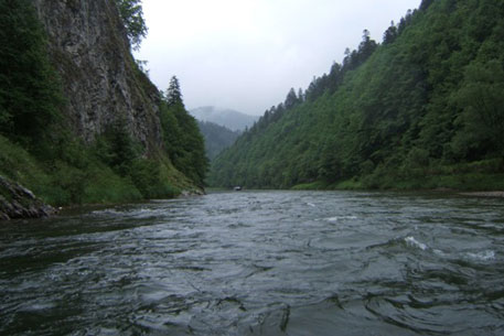 Правила вождения в потоке жизни