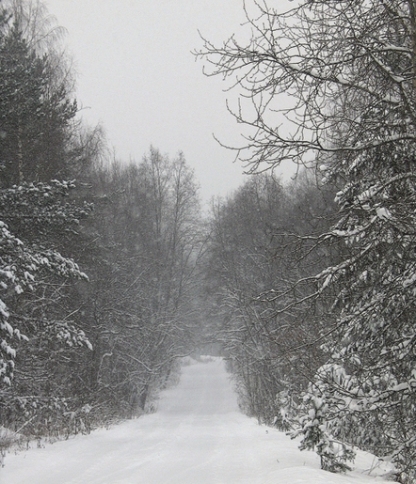 Заметает зима...