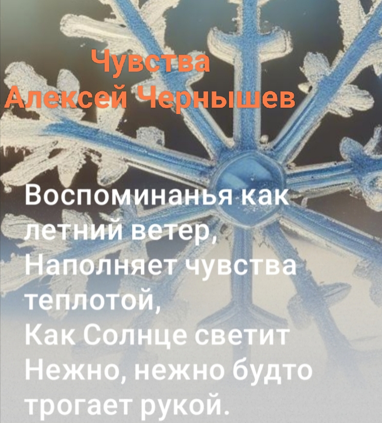 Чувства