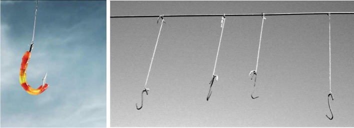 снимаюсь... с этого крючка