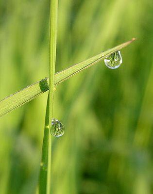 Есть что-то за пределом слов