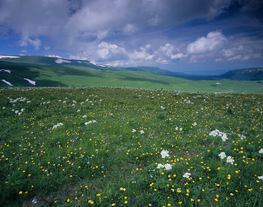 Летнее