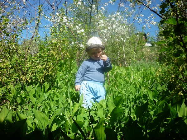 Божественно! Майский сад
