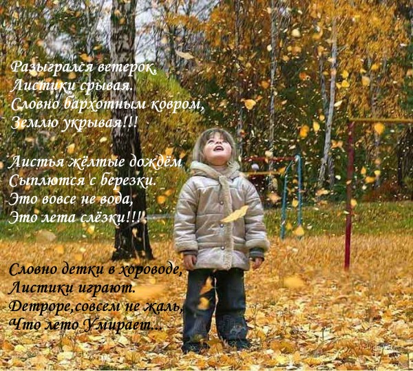 Лета слёзки