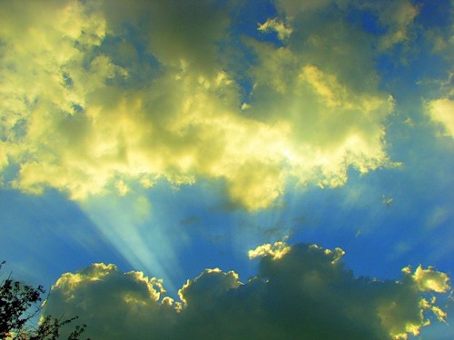 Утренний подарок