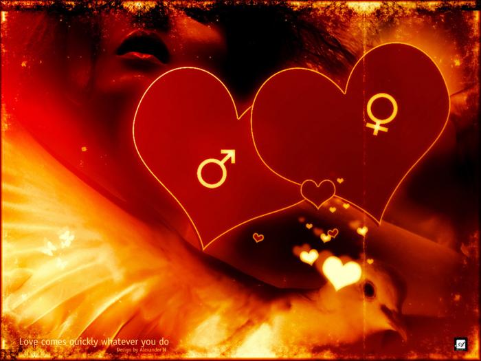 Где обвенчает любовь