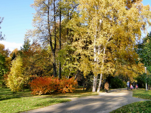 Солотчинский парк