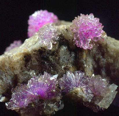 Твои руки - мои палачи. драгоценная я твоя...