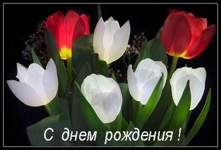 С Днем Рожденья - Песня