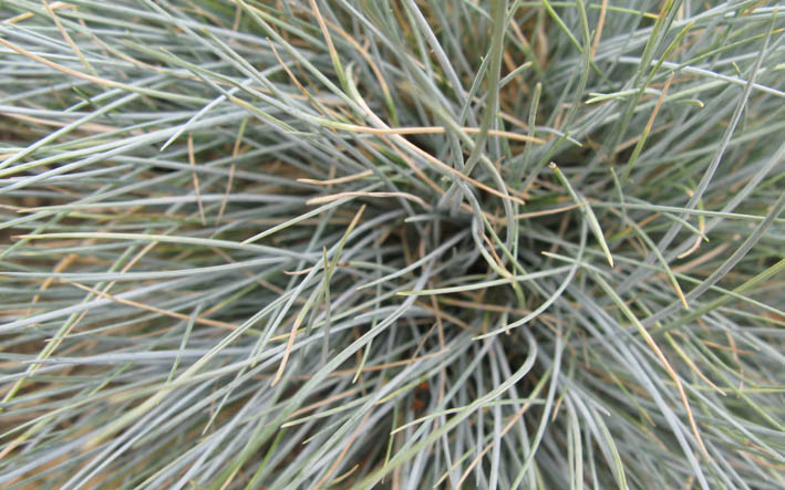 Мысли. О Пользовании зрением