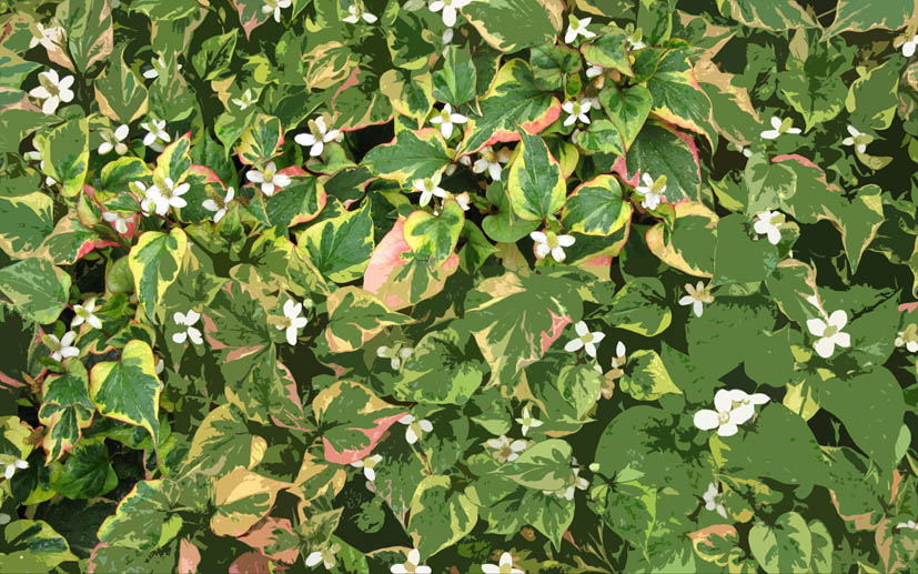 Мысли. О Рядом