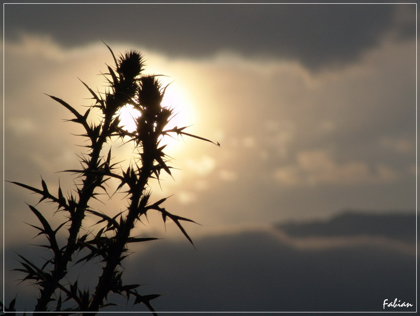 Наш путь в любовь...