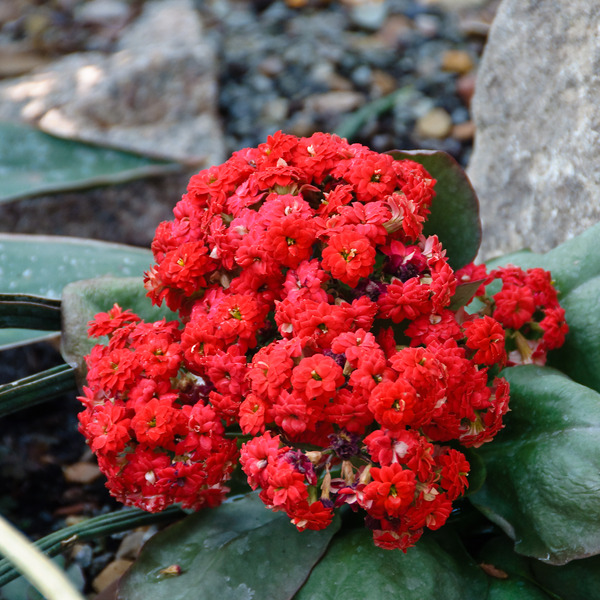 Осенняя мелодия