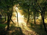 Там не скуднеет душа. 21. 03. 2008