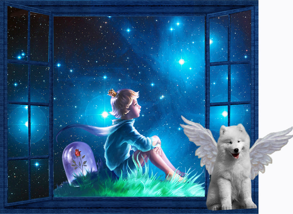 Окно в Синюю Галактику