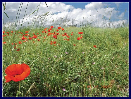 Флейты ветра не сыграют