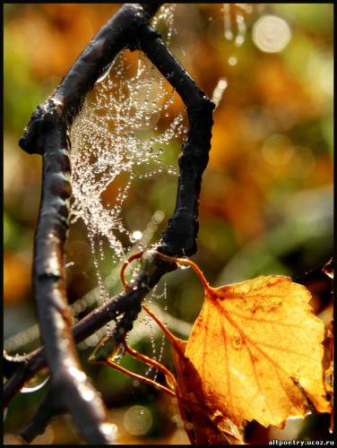 Осенний пейзаж