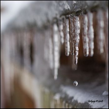 С тающих крыш непонятного нам бытия