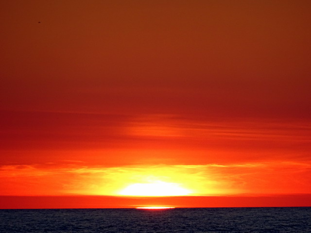 Кровоточит...