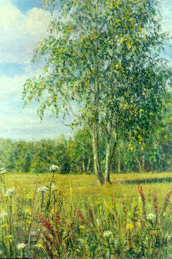 Берёза-кошка