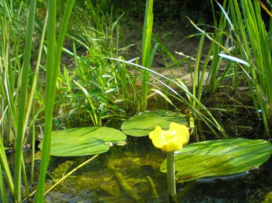 Как не чувствовать можно души?