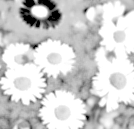 Летняя баллада