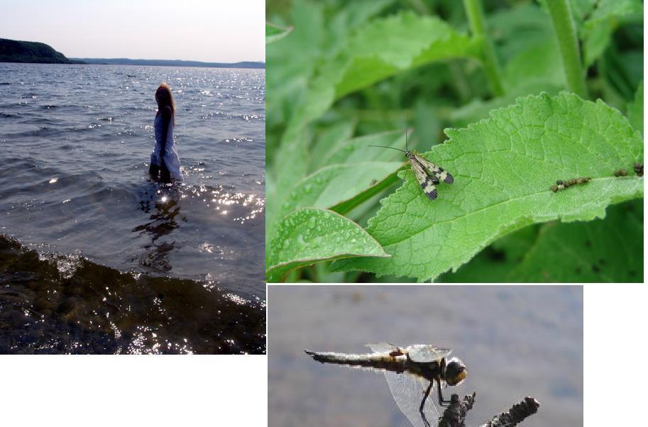 Я люблю этот мир