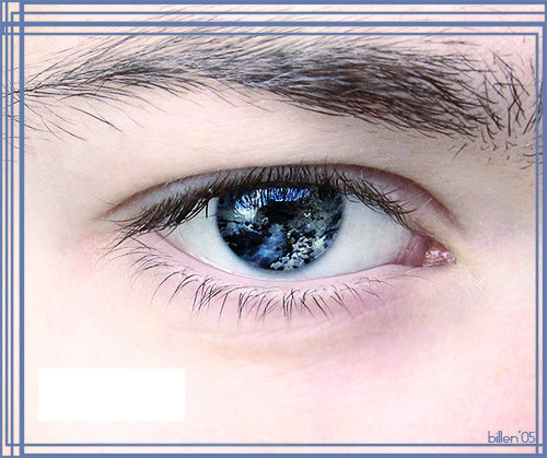 Портрет на память