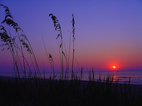 Рассвет алеет на горизонте